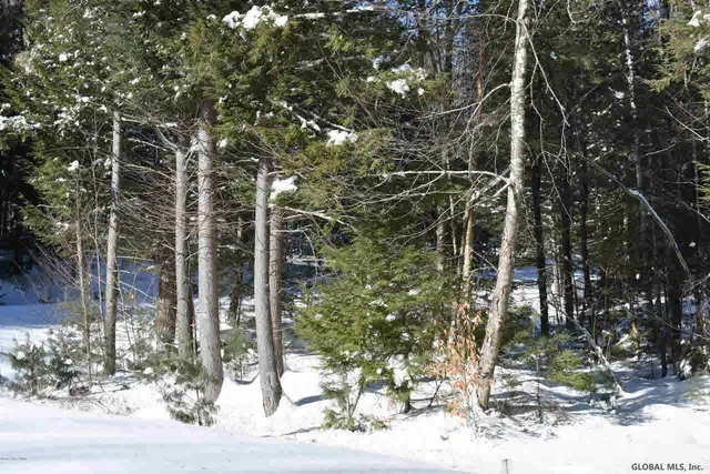 $37,500 | 60 Carriage Knolls Road, Chester, NY 12817