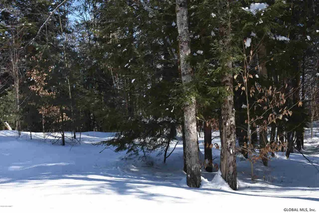 $37,500 | 60 Carriage Knolls Road, Chester, NY 12817