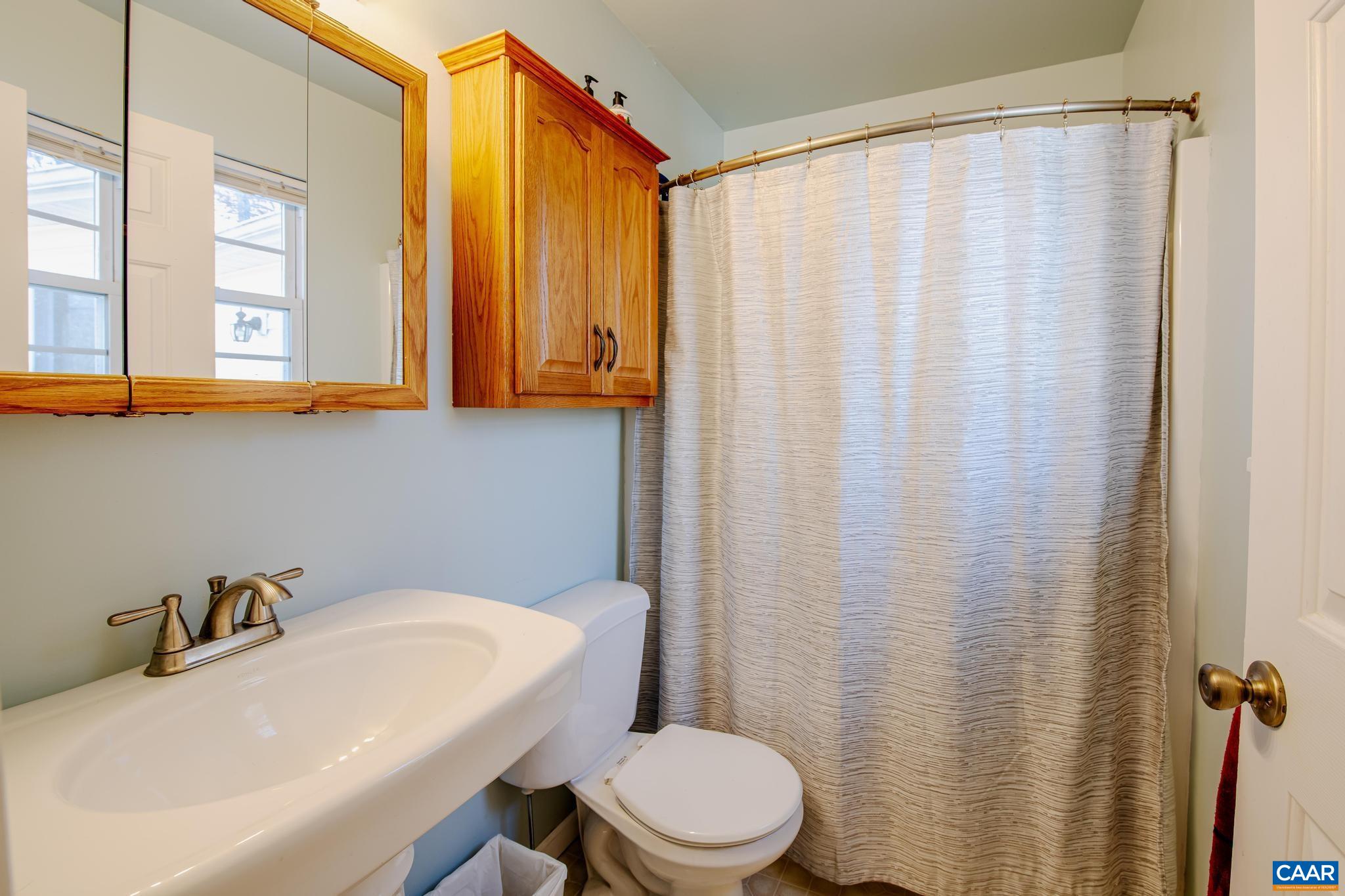 18 Cliftwood Road Palmyra, VA 22963 - Photo 16 of 28 a bathroom with a sink a toilet and a shower