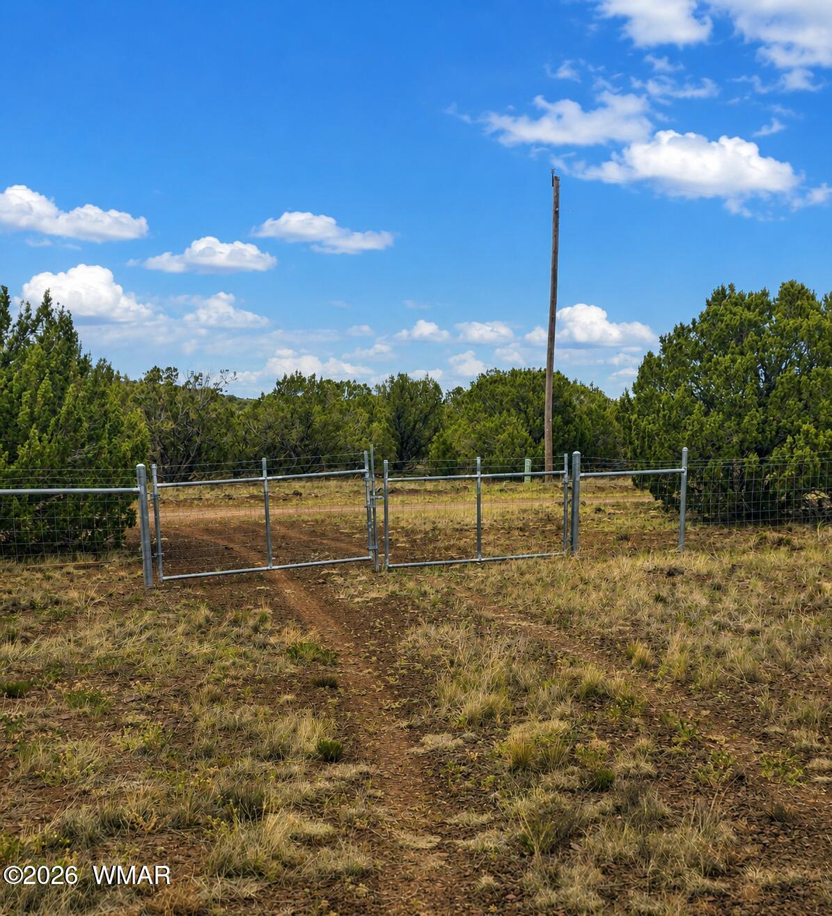 84 County Road Concho, AZ 85924 - Photo 9 of 9