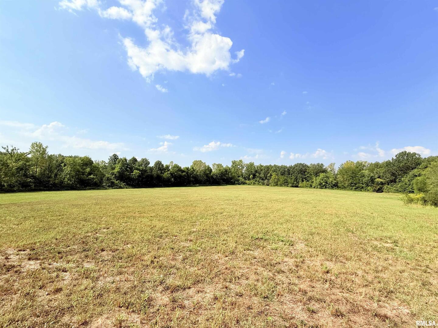 0 West Davis Street Equality, IL 62934 - Photo 10 of 14