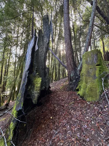 $4,500 | 27089 Otter Court, Willits, CA 95490