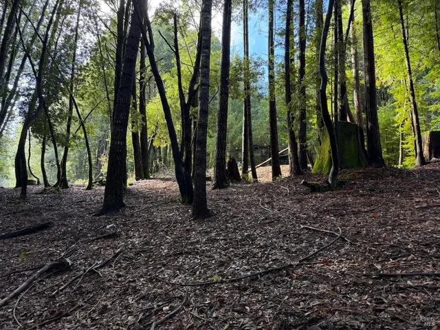 $4,500 | 27089 Otter Court, Willits, CA 95490