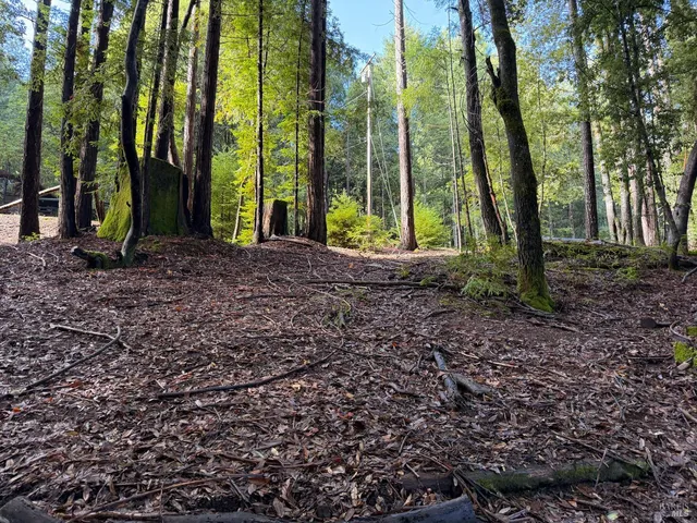 $4,500 | 27089 Otter Court, Willits, CA 95490