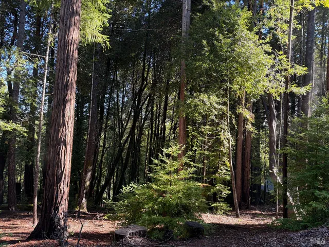 $4,500 | 27089 Otter Court, Willits, CA 95490