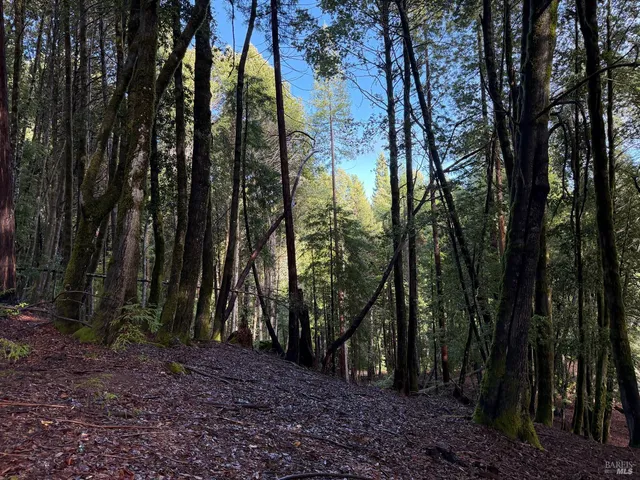 $4,500 | 27089 Otter Court, Willits, CA 95490