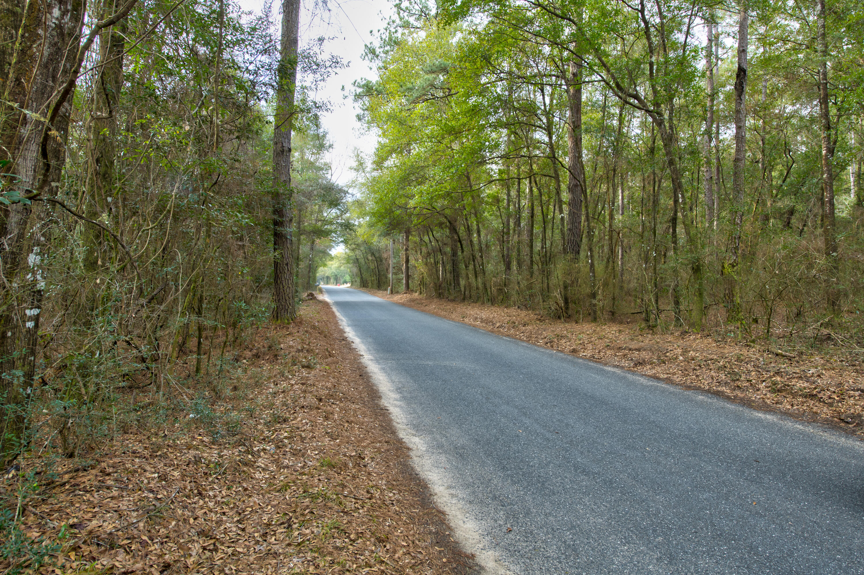 0 Lake Ella Road Crestview, FL 32539 - Photo 3 of 19 a view of a yard