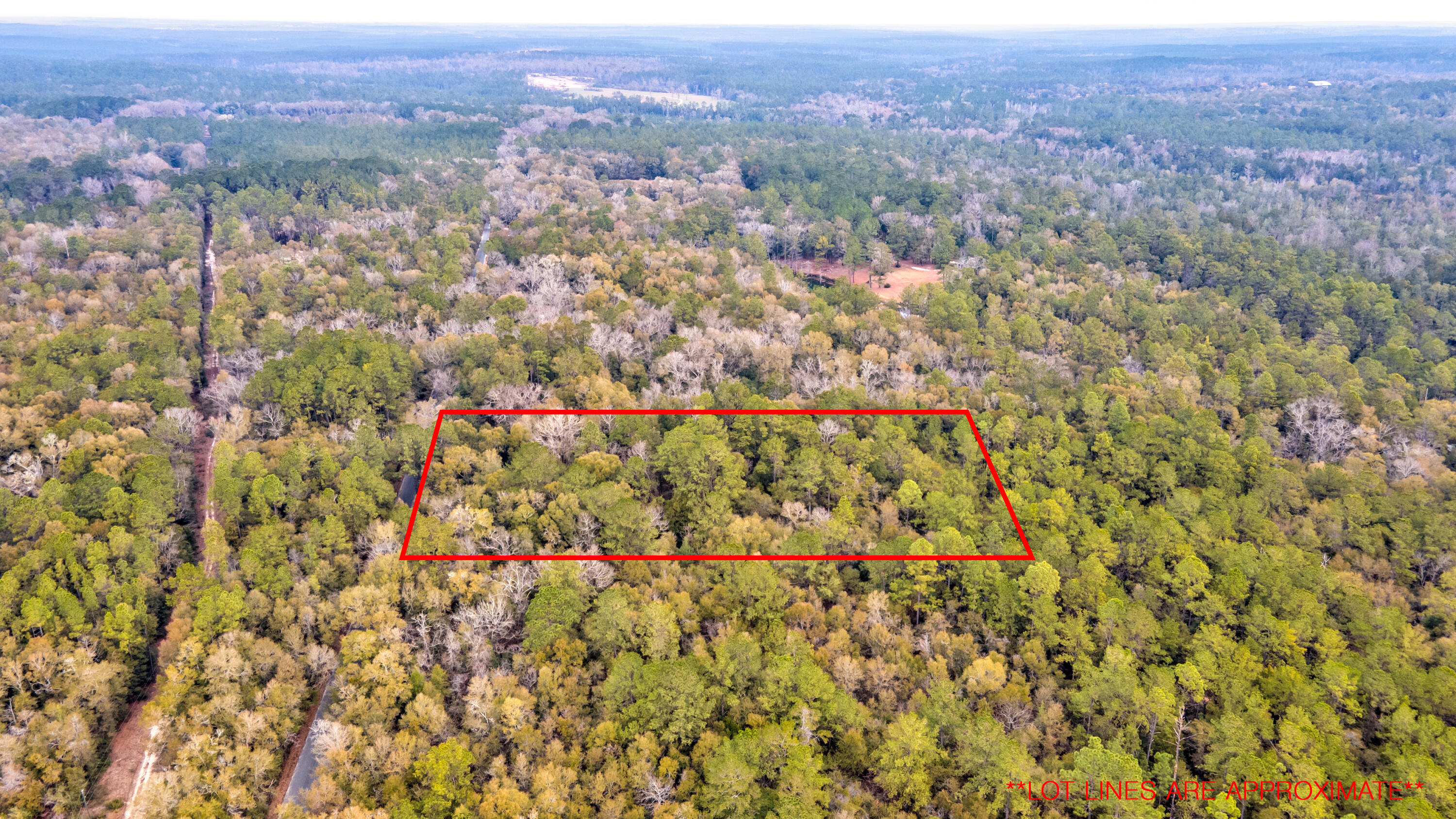 0 Lake Ella Road Crestview, FL 32539 - Photo 8 of 19