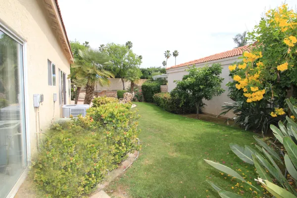 a view of a garden with plants