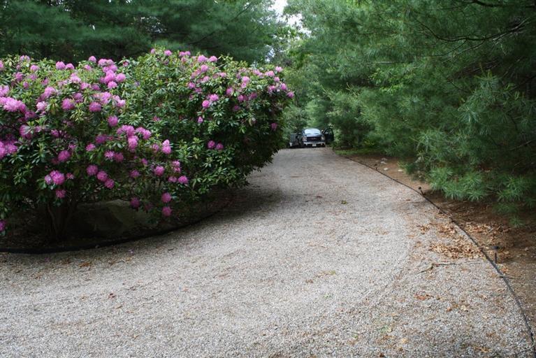 103 Paddock Circle Mashpee, MA 02649 - Photo 6 of 27 a view of a garden with flowers