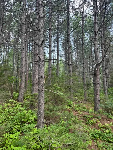 $245,000 | Xx Xx High Ridge Drive, Schroeder, MN 55613