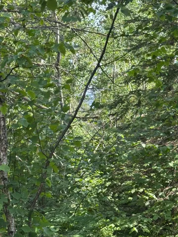 $245,000 | Xx Xx High Ridge Drive, Schroeder, MN 55613