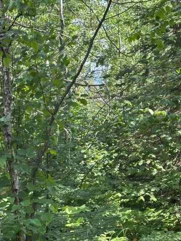 $245,000 | Xx Xx High Ridge Drive, Schroeder, MN 55613