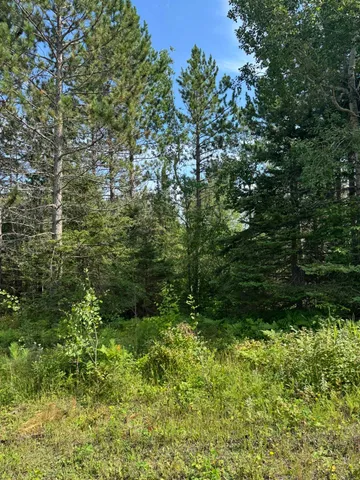 $245,000 | Xx Xx High Ridge Drive, Schroeder, MN 55613