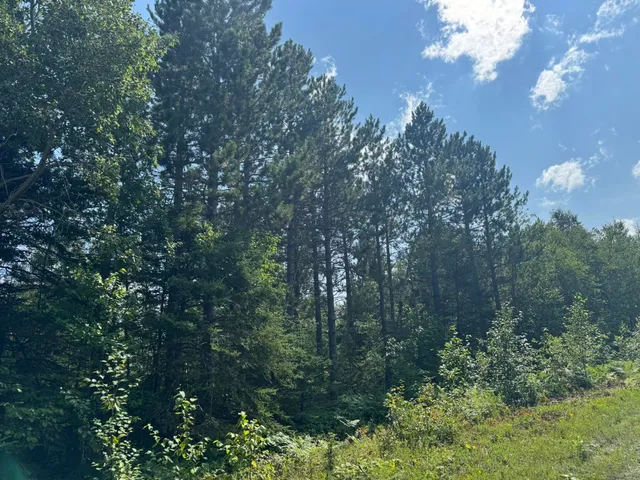 $245,000 | Xx Xx High Ridge Drive, Schroeder, MN 55613