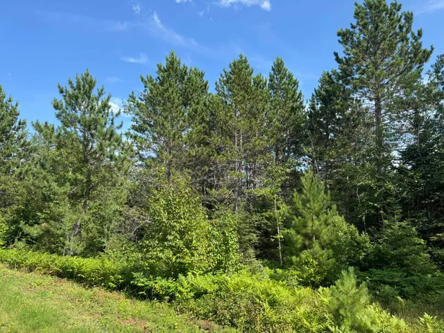 $245,000 | Xx Xx High Ridge Drive, Schroeder, MN 55613