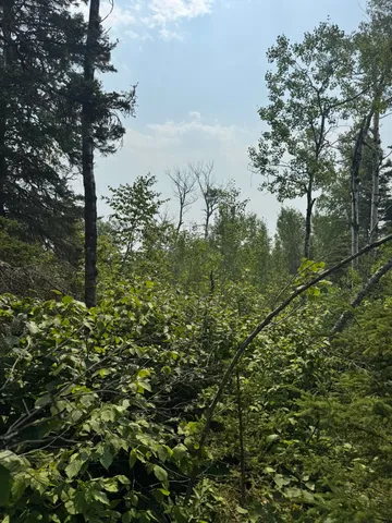 $245,000 | Xx Xx High Ridge Drive, Schroeder, MN 55613