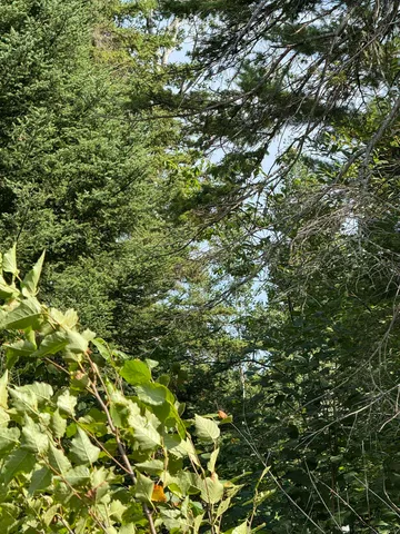 $245,000 | Xx Xx High Ridge Drive, Schroeder, MN 55613