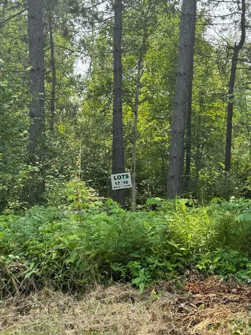 $245,000 | Xx Xx High Ridge Drive, Schroeder, MN 55613