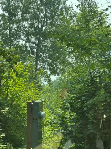 $245,000 | Xx Xx High Ridge Drive, Schroeder, MN 55613