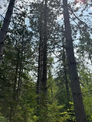 $245,000 | Xx Xx High Ridge Drive, Schroeder, MN 55613