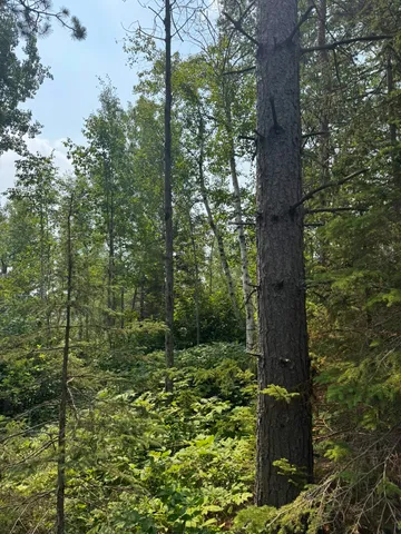 $245,000 | Xx Xx High Ridge Drive, Schroeder, MN 55613