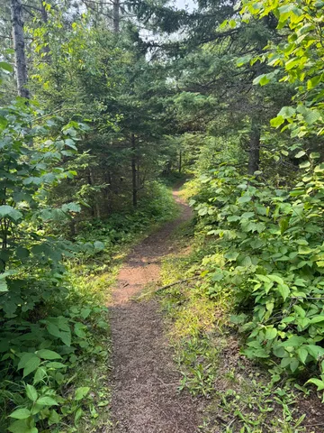 $245,000 | Xx Xx High Ridge Drive, Schroeder, MN 55613