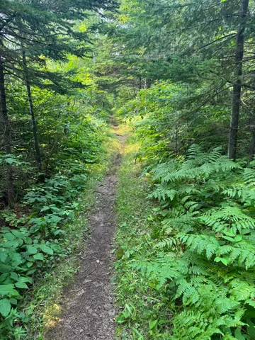 $245,000 | Xx Xx High Ridge Drive, Schroeder, MN 55613