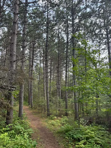 $245,000 | Xx Xx High Ridge Drive, Schroeder, MN 55613