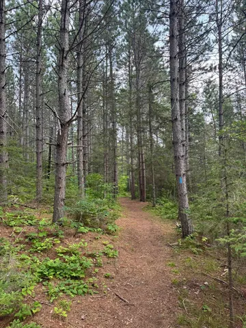 $245,000 | Xx Xx High Ridge Drive, Schroeder, MN 55613