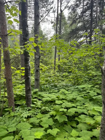 $245,000 | Xx Xx High Ridge Drive, Schroeder, MN 55613