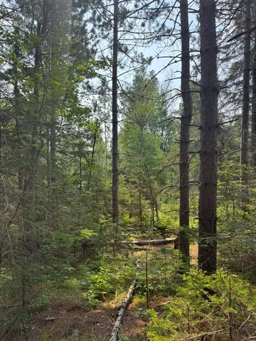$245,000 | Xx Xx High Ridge Drive, Schroeder, MN 55613