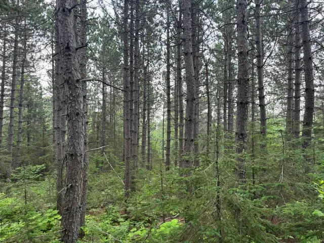 $245,000 | Xx Xx High Ridge Drive, Schroeder, MN 55613