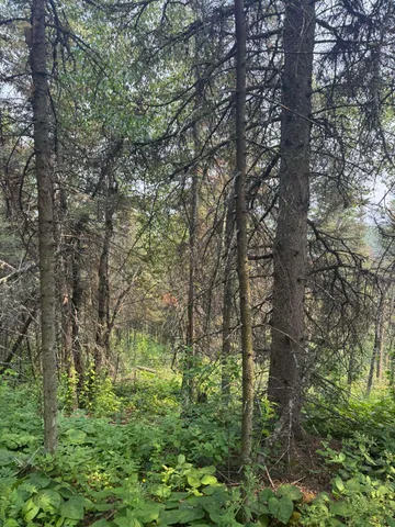 $245,000 | Xx Xx High Ridge Drive, Schroeder, MN 55613