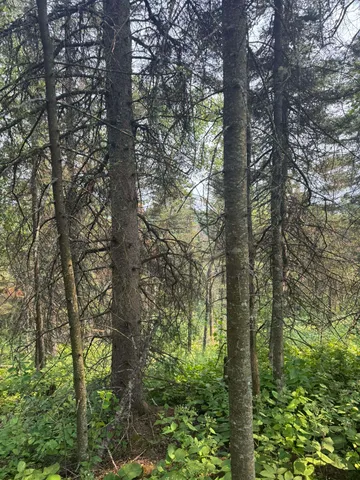 $245,000 | Xx Xx High Ridge Drive, Schroeder, MN 55613