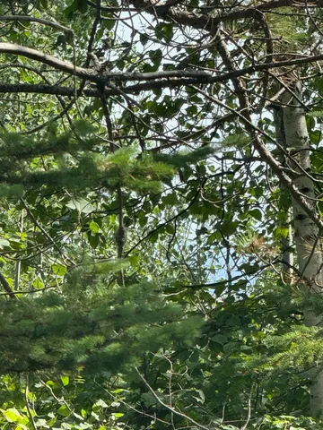 $245,000 | Xx Xx High Ridge Drive, Schroeder, MN 55613