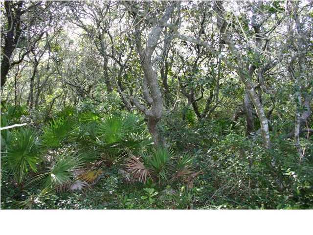 Lot 2-bk Blue Lake Road Santa Rosa Beach, FL 32459 - Photo 5 of 5 a view of a green field with lots of bushes