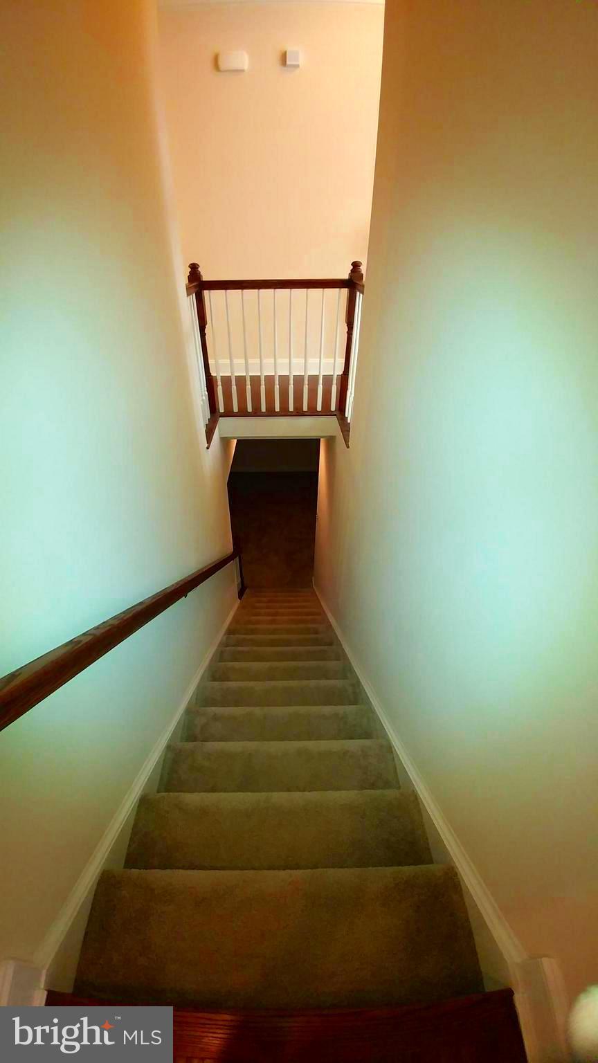 18714 Crimson Road Rehoboth Beach, DE 19971 - Photo 40 of 57 Let's Go Down stairs