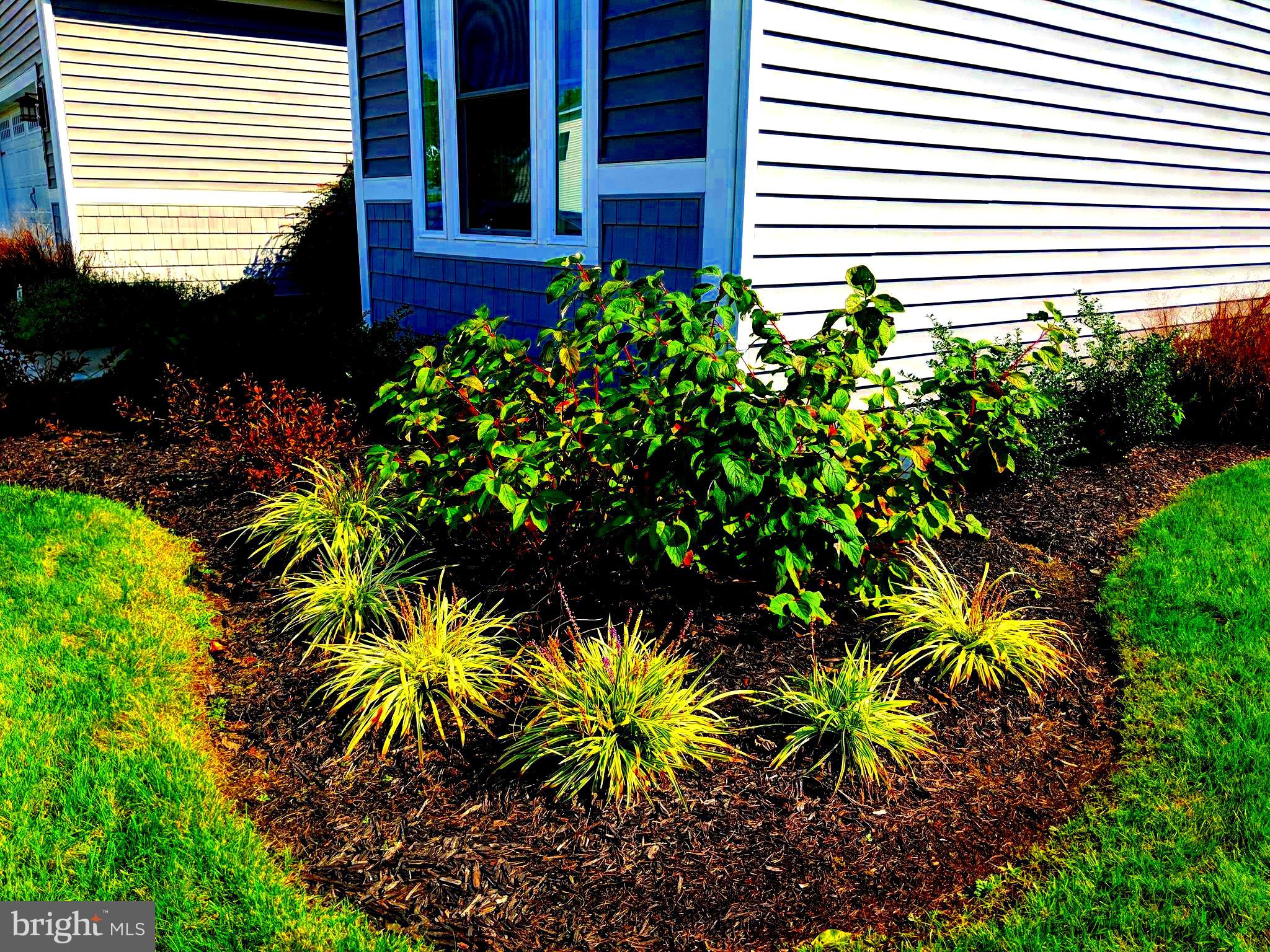 18714 Crimson Road Rehoboth Beach, DE 19971 - Photo 5 of 57 Landscaped With Irrigation