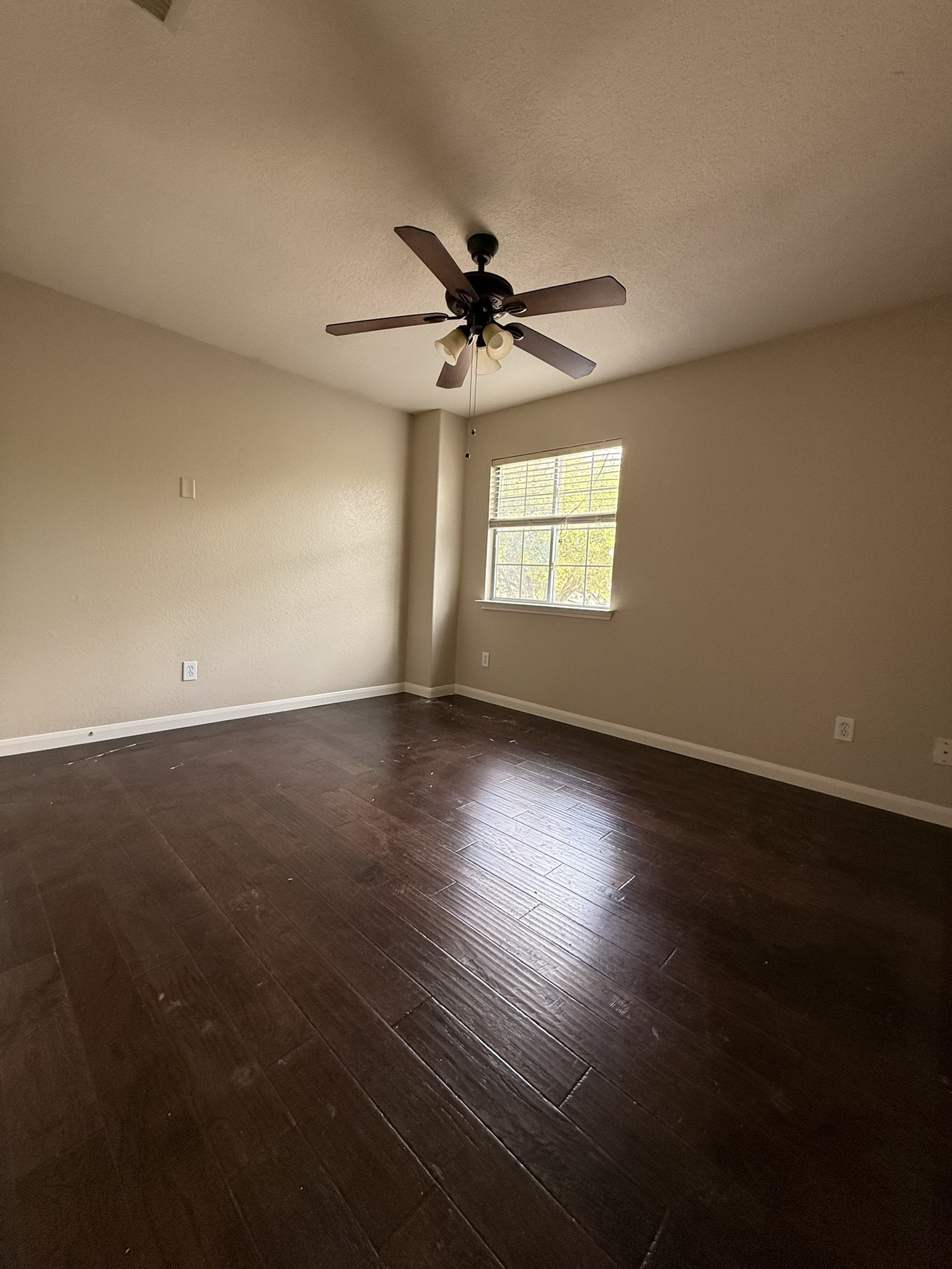 23603 Maple Vista Lane Spring, TX 77373 - Photo 13 of 23