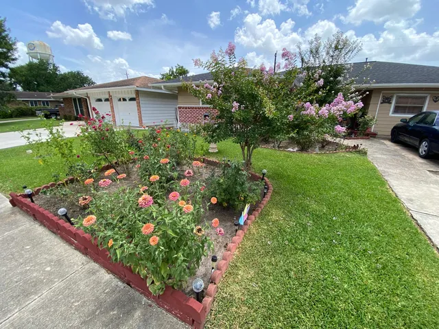 a view of a garden with flowers and plants