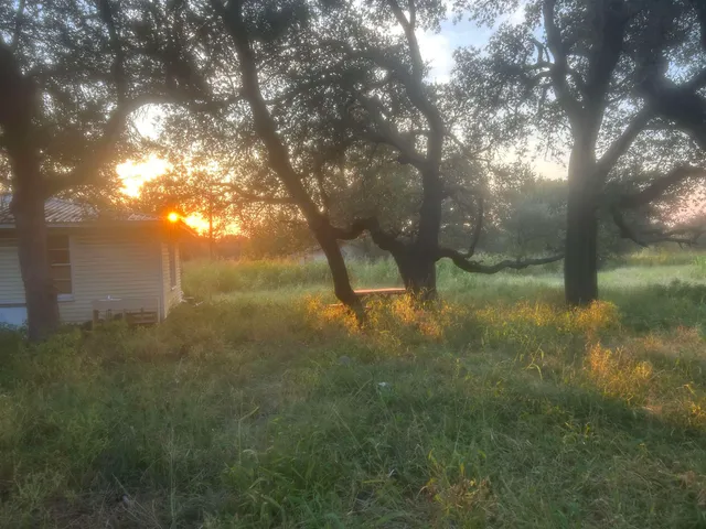 a backyard of a house with lots of plants and large trees