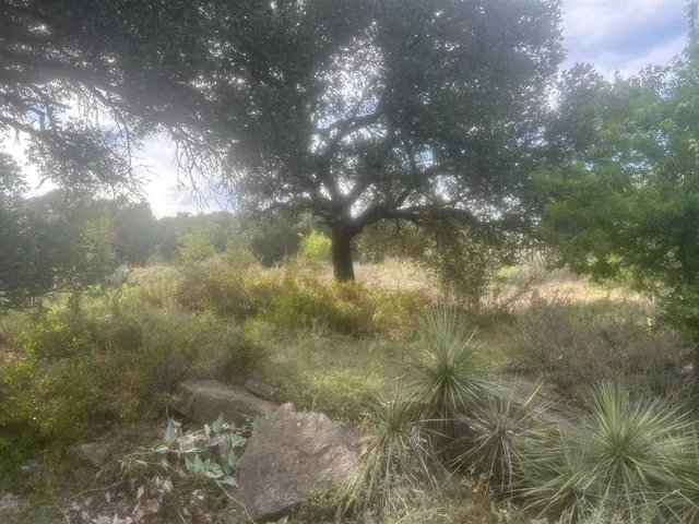 $199,000 | 505 East Fm 501 Highway, Cherokee, TX 76832