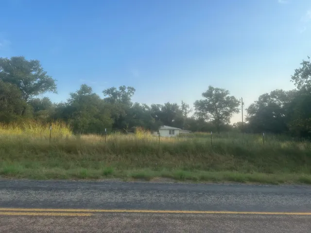 a view of a mountain in the distance in a field