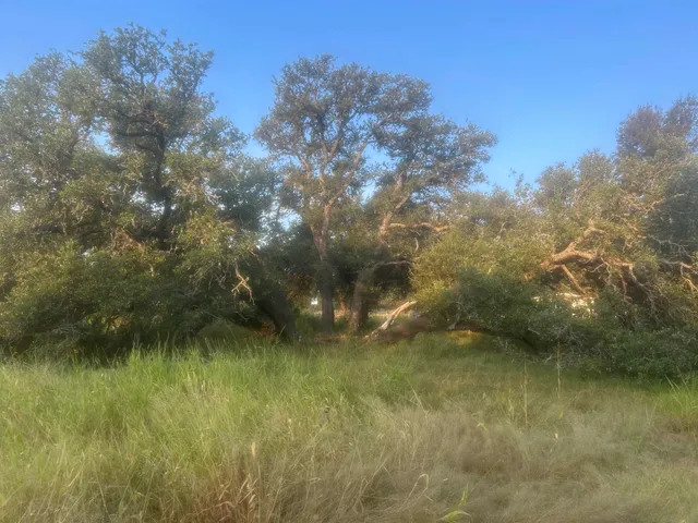 a view of a lake with houses