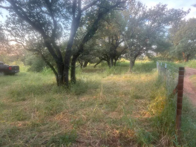 a view of yard in front of house