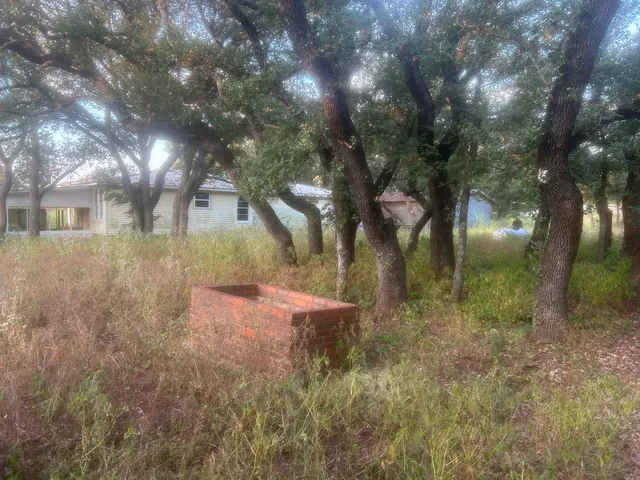 a view of swimming pool and trees
