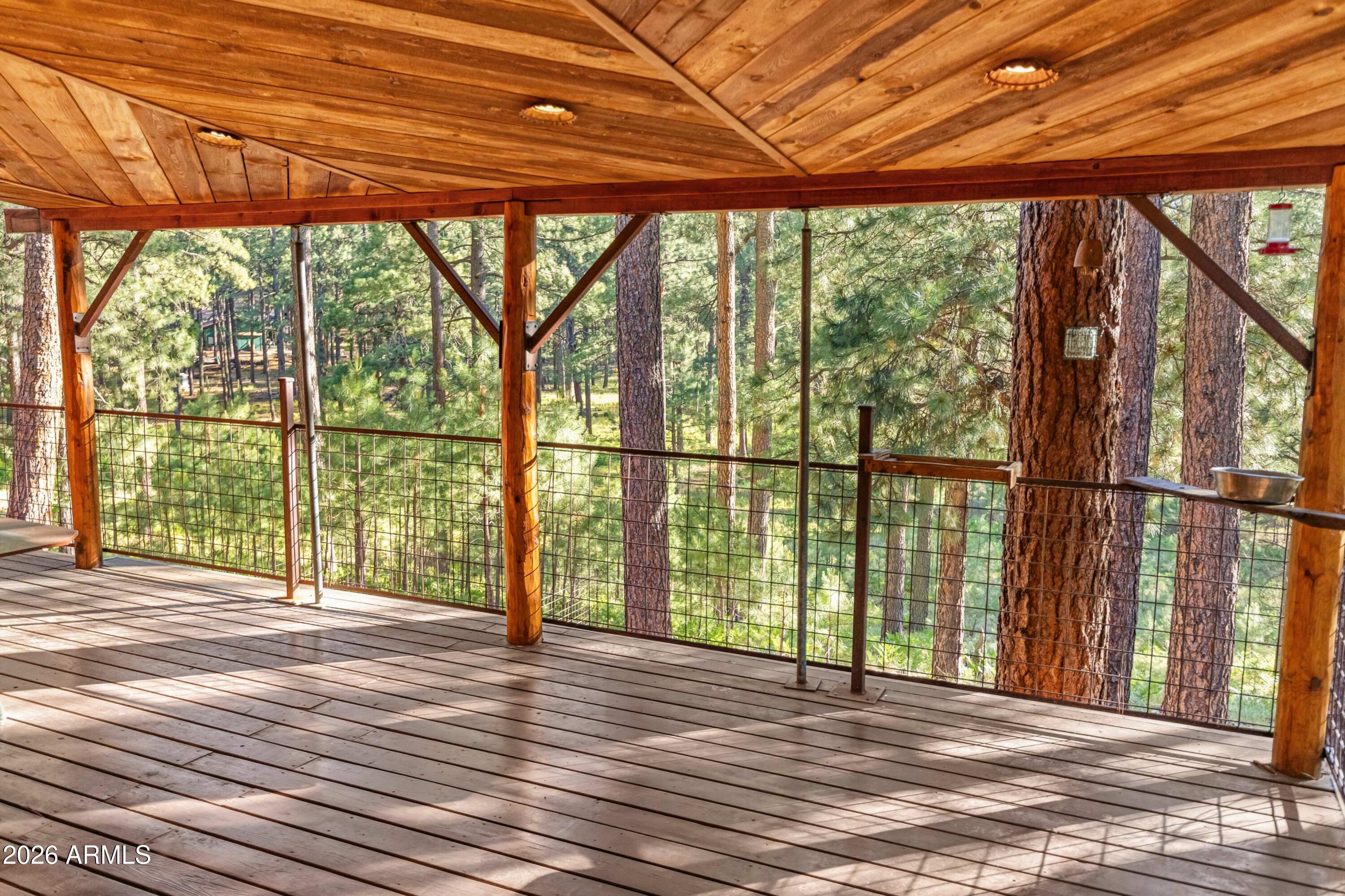 2367 Ryan Ranch Loop Forest Lakes, AZ 85931 - Photo 47 of 70