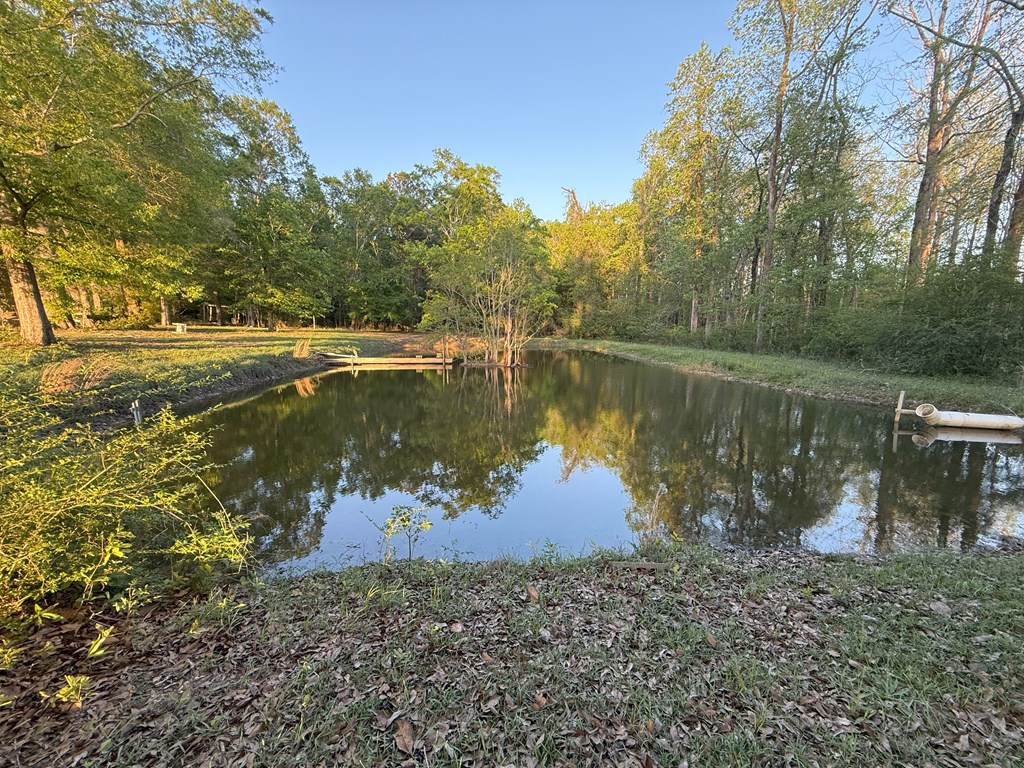 212 Man Hall Road Dothan, AL 36305 - Photo 28 of 39