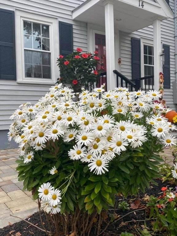 14 Eldridge Place Westwood, MA 02090 - Photo 40 of 42